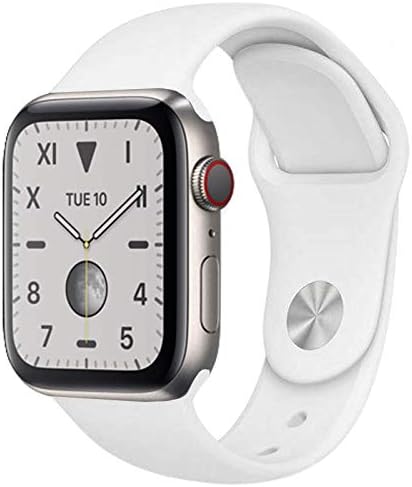 Apple Watch Edition Series 5 GPS/Cel 40mm Silver Titanium Grade (C)