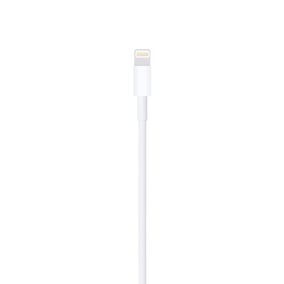 Generic Lightning USB-A 6ft 2m Cable NEW