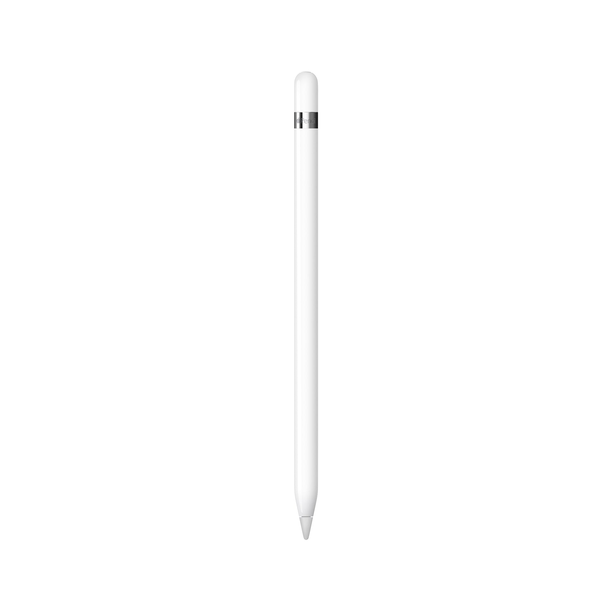 ホワイト iPad 本体 + Apple Pencil Apple Pencil 1st Gen w/USB-C Adapter MQLY3AM/A Grade (B) - BAM