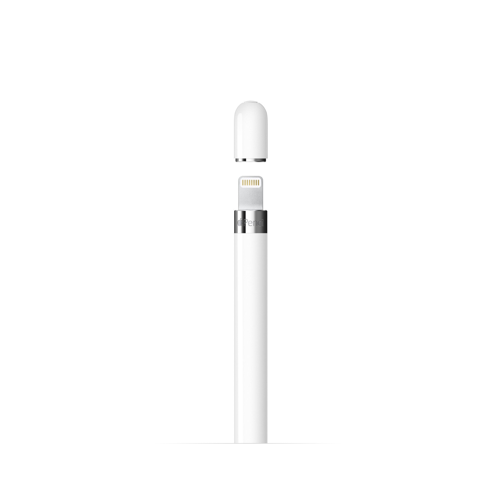 Apple Pencil 1st Gen w/USB-C Adapter MQLY3AM/A Grade (B) - BAM