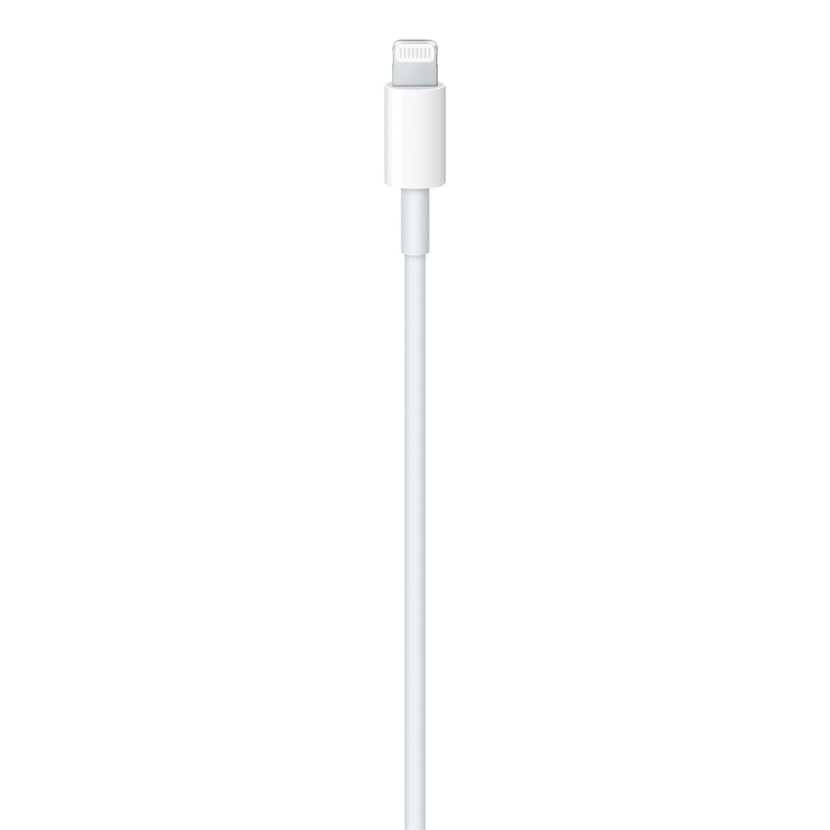 Generic Lightning USB-C 3ft 1m Cable NEW