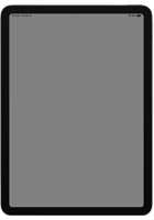 iPad Pro 11 2nd Gen
