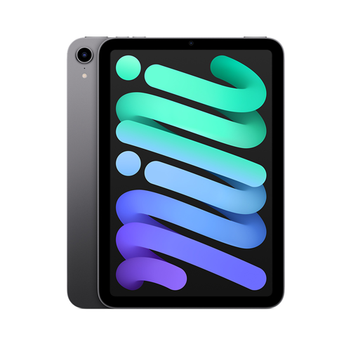 iPad Mini 6th Generation 8.3 inch 256GB Space Gray Wifi + Cellular