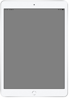 iPad Mini 1st Gen