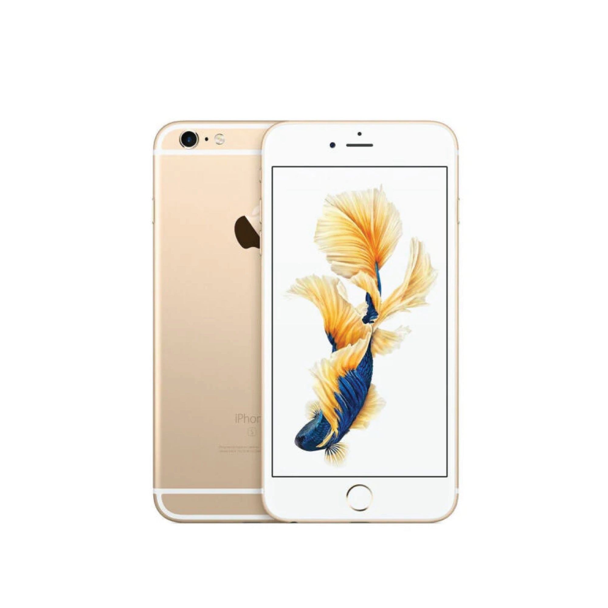 iPhone 6+ Battery Replacement