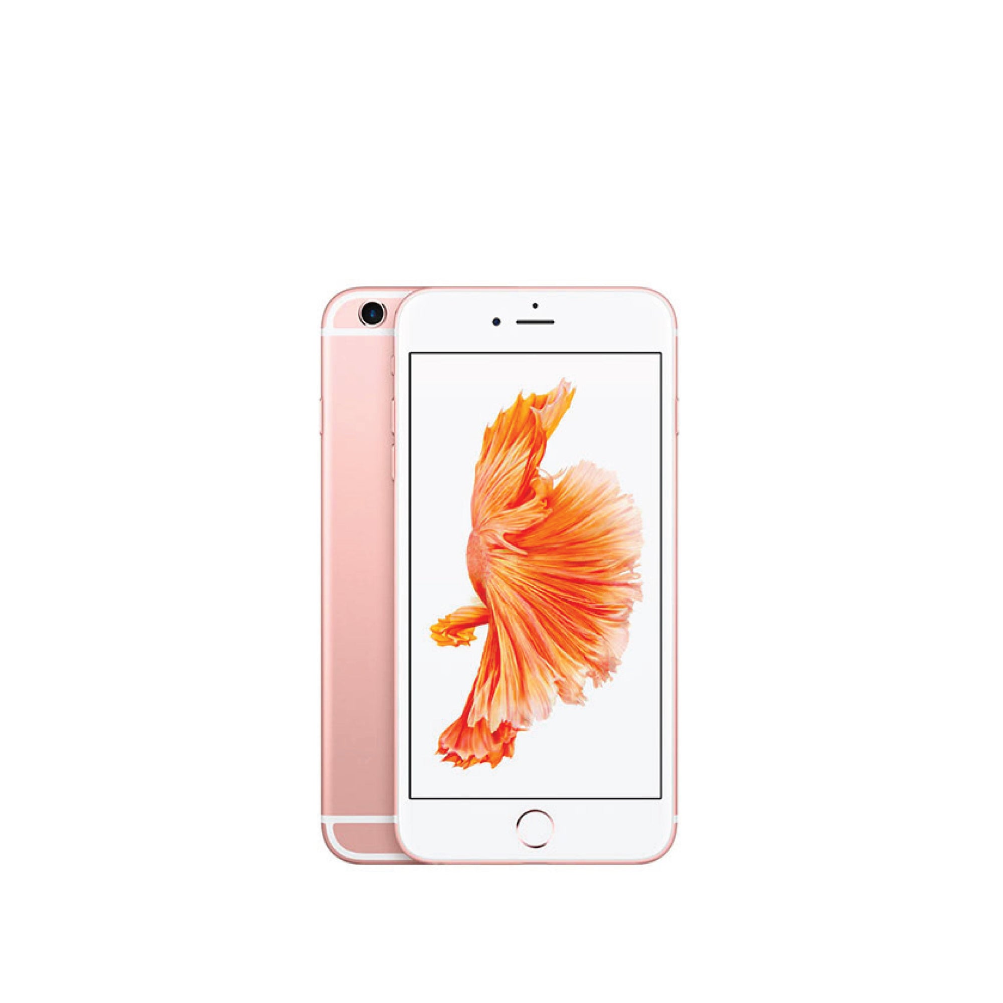 iPhone 6 Battery Replacement